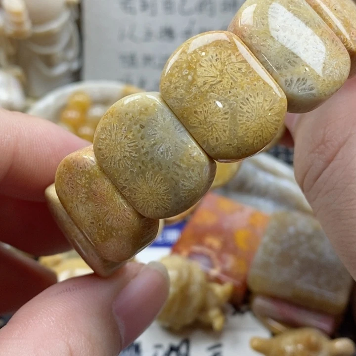 硅化珊瑚（珊瑚玉）颈饰未镶嵌