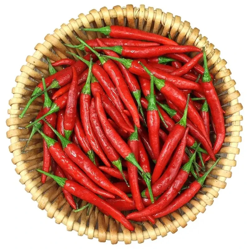 湖南湘西 红辣椒