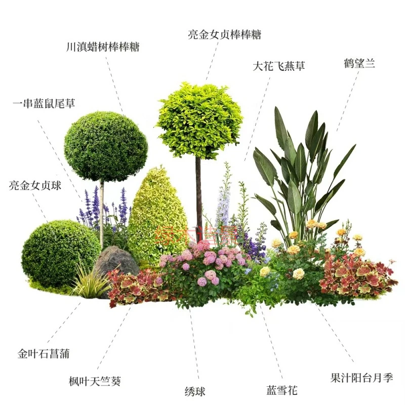 花园花境植物搭配设计