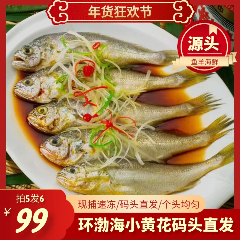 【5盒福利】深海捕捞海鱼小黄花鱼 生鲜海鲜水产新鲜冷冻烧烤