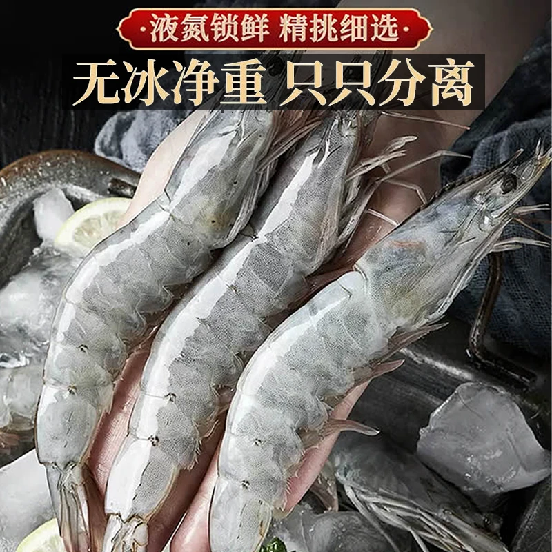 【2福利】东方虾鲜活速冻海虾冷冻海鲜水产生鲜盐冻鲜虾渤海湾虾