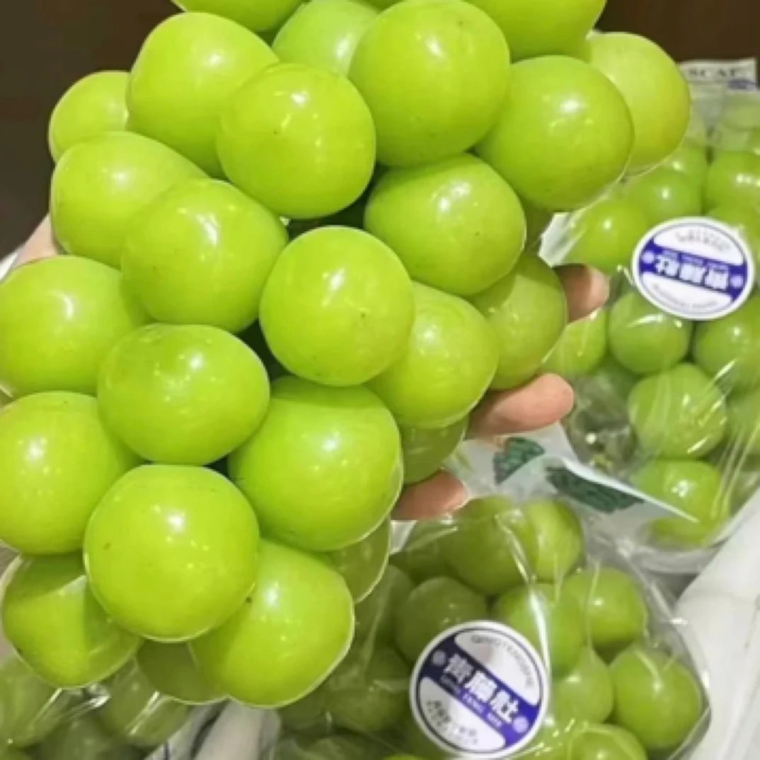 【颗颗饱满】青藤社阳光玫瑰 净重2斤左右串形很漂亮的阳光玫瑰，颗颗饱满！皮薄不用吐，也不涩。