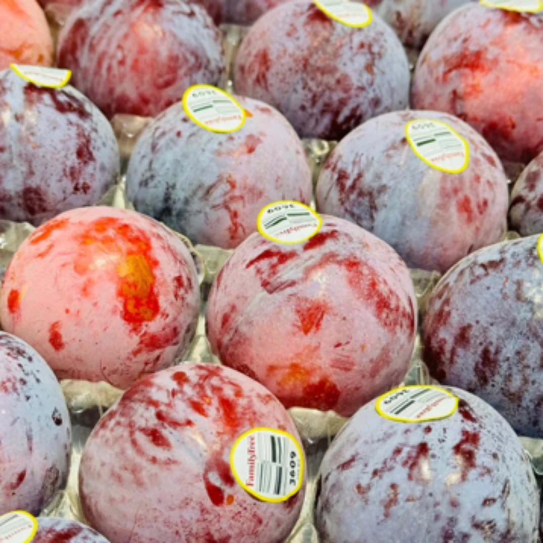 【李中贵族】恐龙蛋李子堪比李中贵族卡0汁水充沛，很受欢迎的一款水果 浓郁多汁