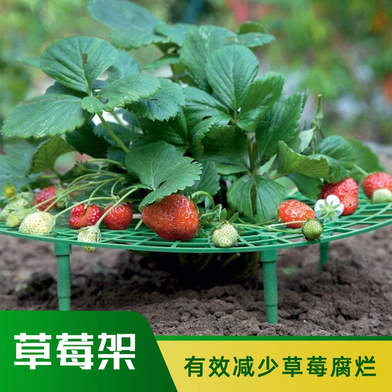 郁先生草莓架阳台盆栽果实支撑架多层家用立体架子园艺支架