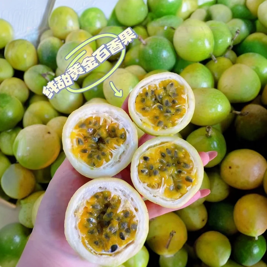 黄金百香果，钦蜜9号纯甜。极品果来啦金灿灿的甜蜜蜜的