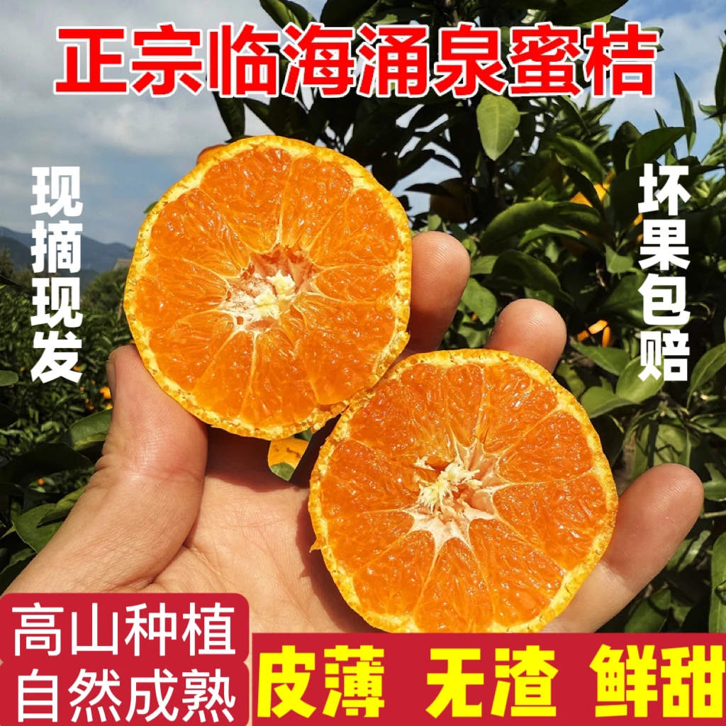 【顺丰包邮】正宗浙江台州涌泉蜜桔当季新鲜孕妇水果鲜甜多汁整箱