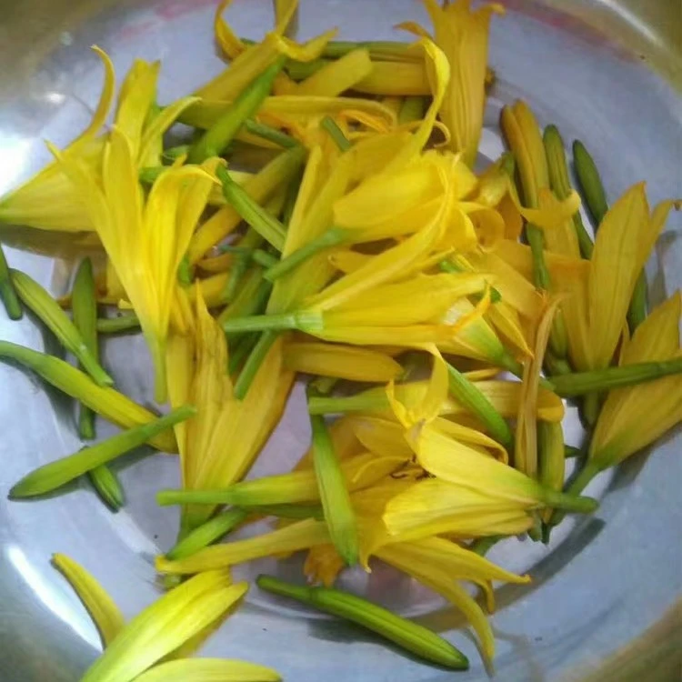 野生黄花菜自然生长500克包邮干货大兴安岭产地直发