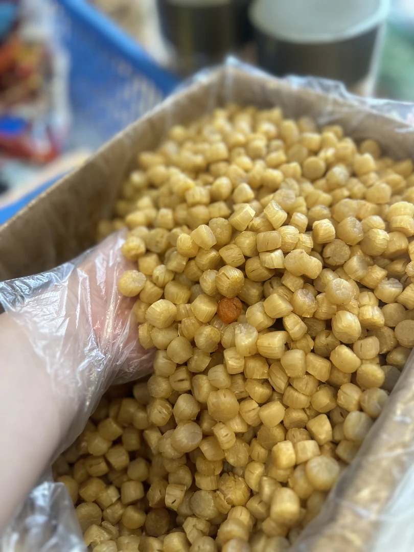 南澳岛无盐370头元贝250g-500g干贝