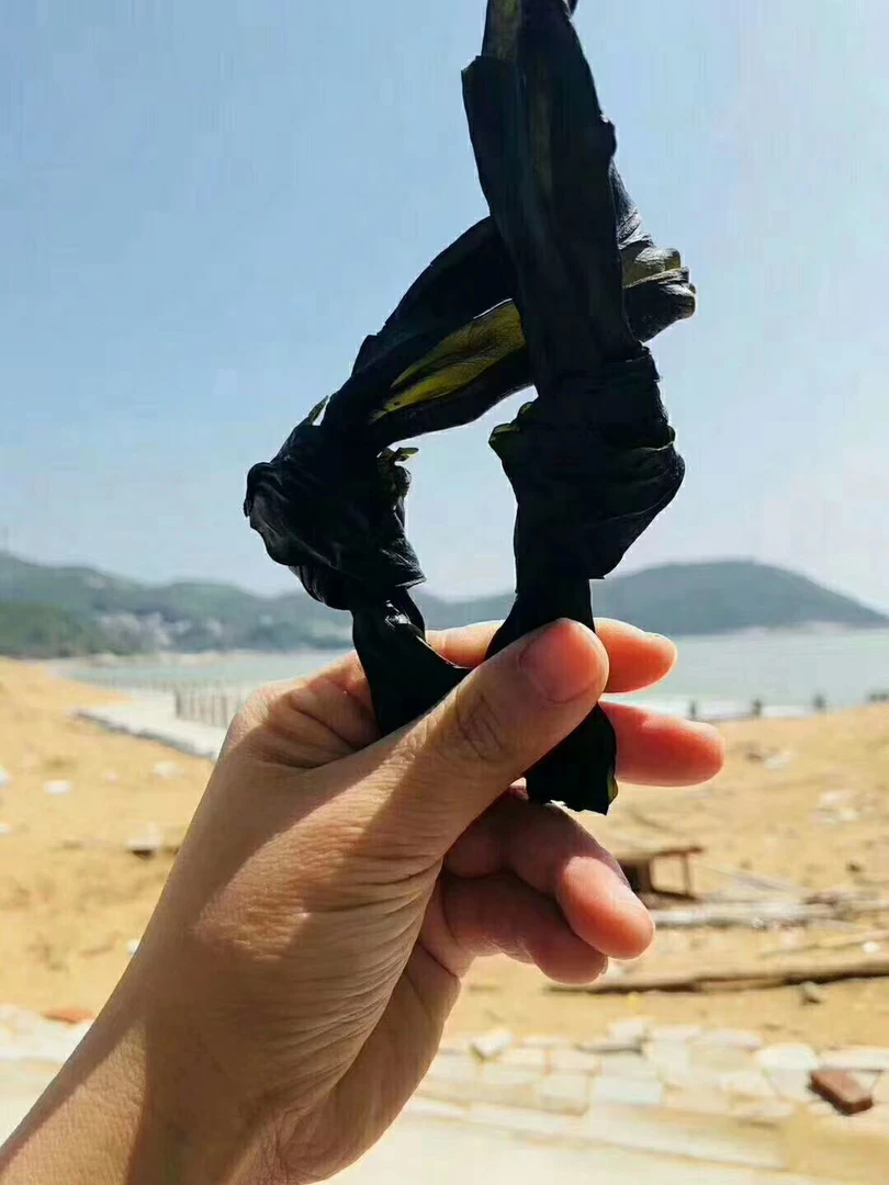 南澳海干货海带结250g-500g包邮
