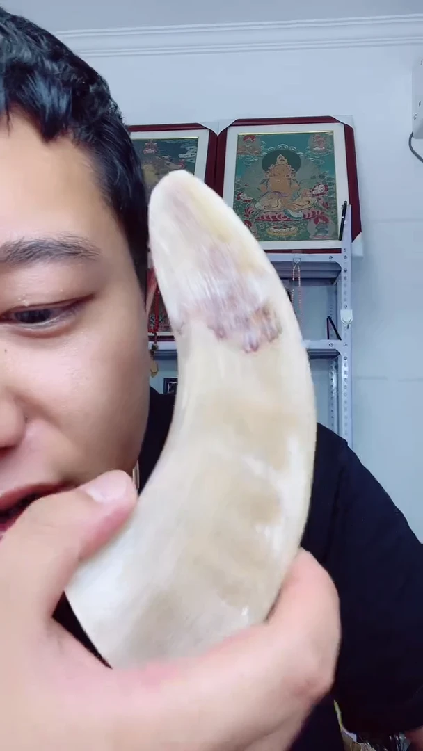 【闪购商品】135家居摆件紫砂茶壶
