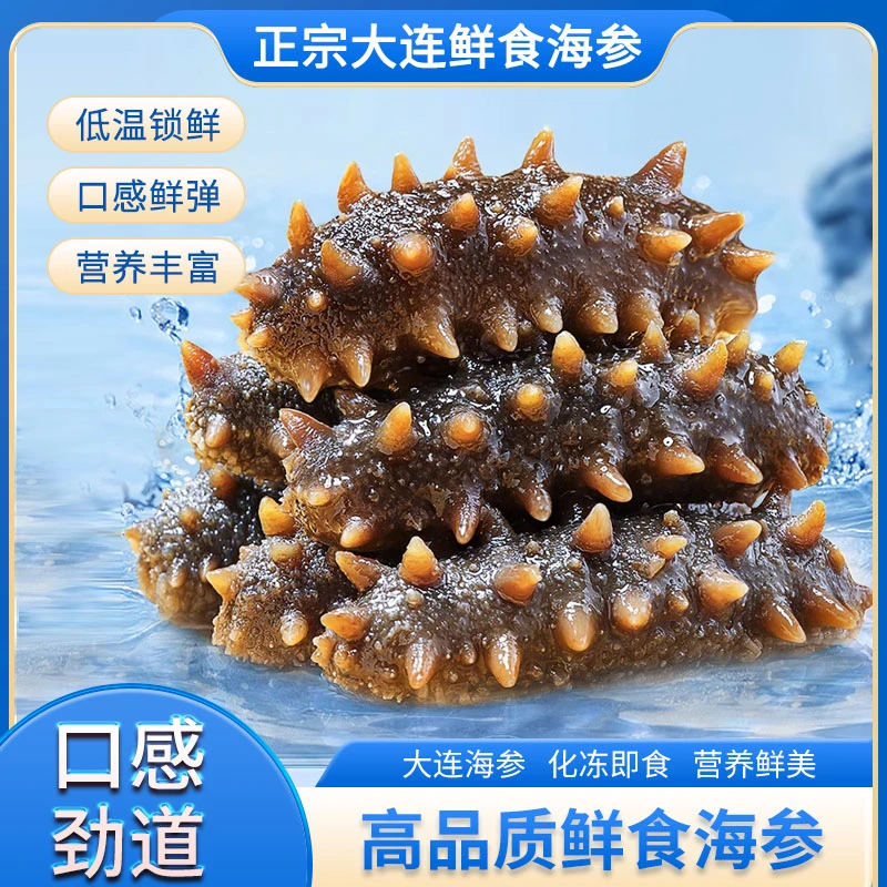 大连即食海参三斤装肉质饱满Q弹