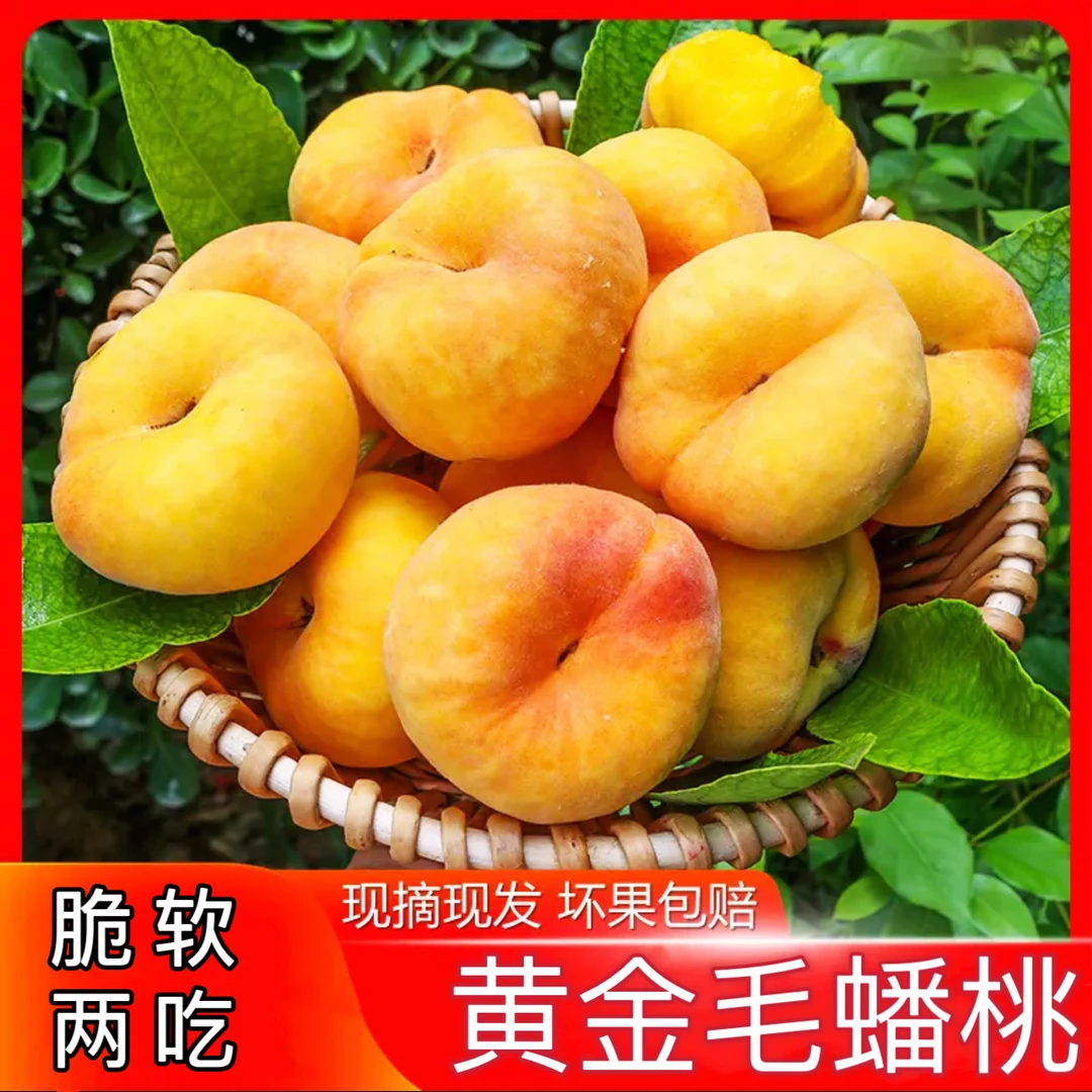 【现摘现发】正宗山东蒙阴黄金毛蟠桃带箱5斤脆甜爽口软吃爆甜多汁