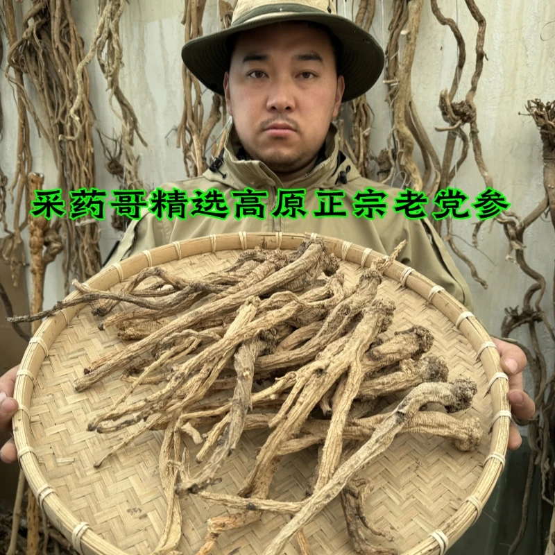 甘肃海拔三千米高原野外采挖老党参新货精选品质500克默认发整条