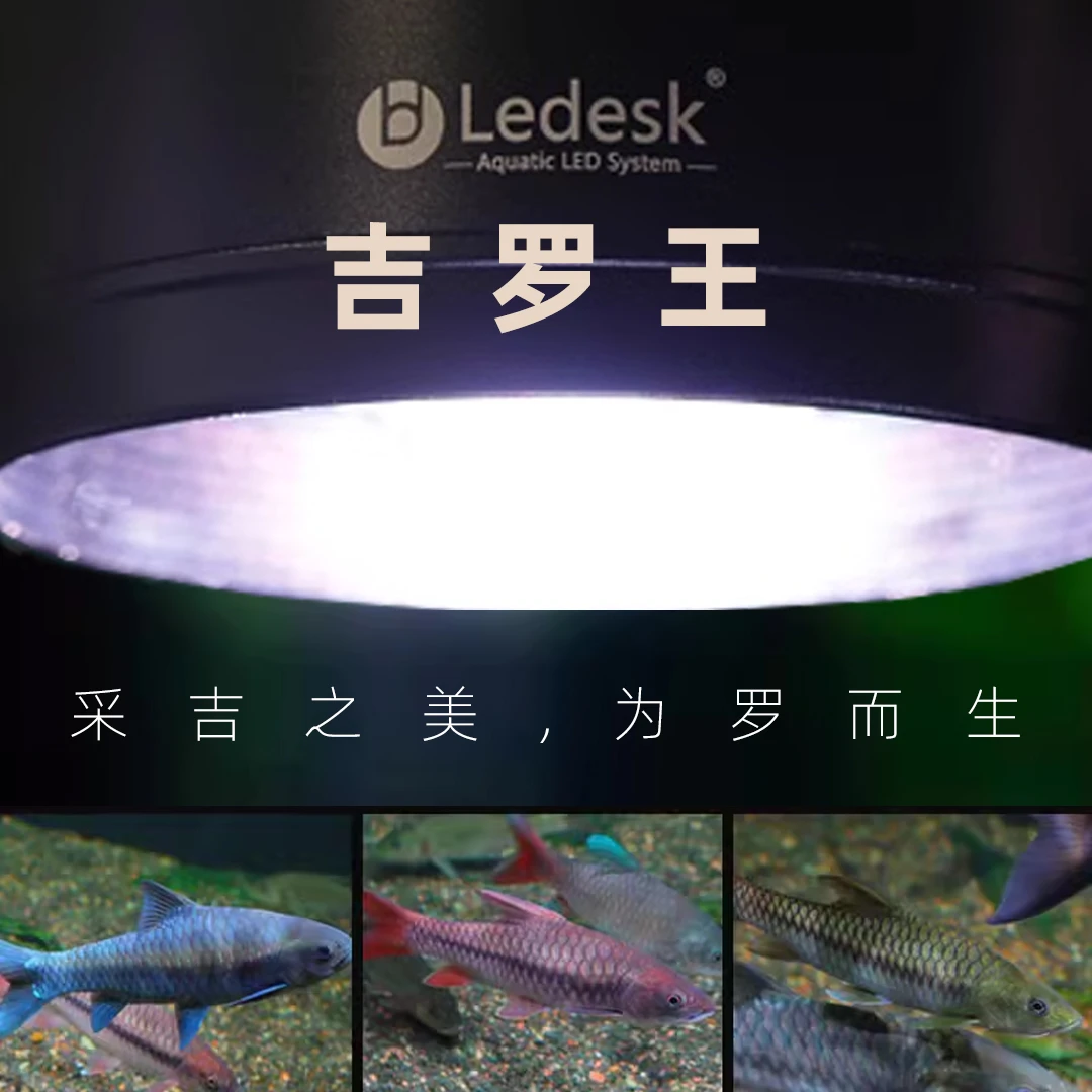 乐迪吉罗专用筒灯RGB灯珠爆苔增艳原生态鱼缸溪流缸灯乐迪鱼缸灯