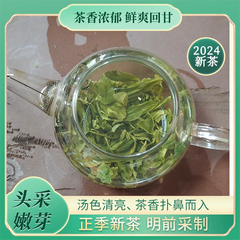 茶香味浓日照绿茶