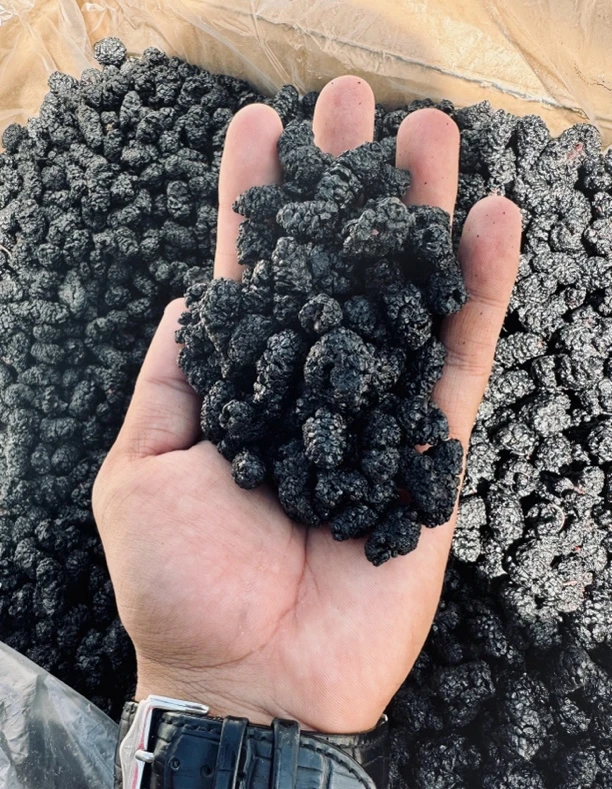 kara ujma jujam黑桑葚干 干净无沙颗粒饱满男女老少皆宜泡水