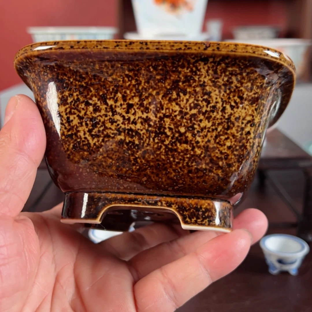 【闪购商品】陶瓷跨年福利心****嗨