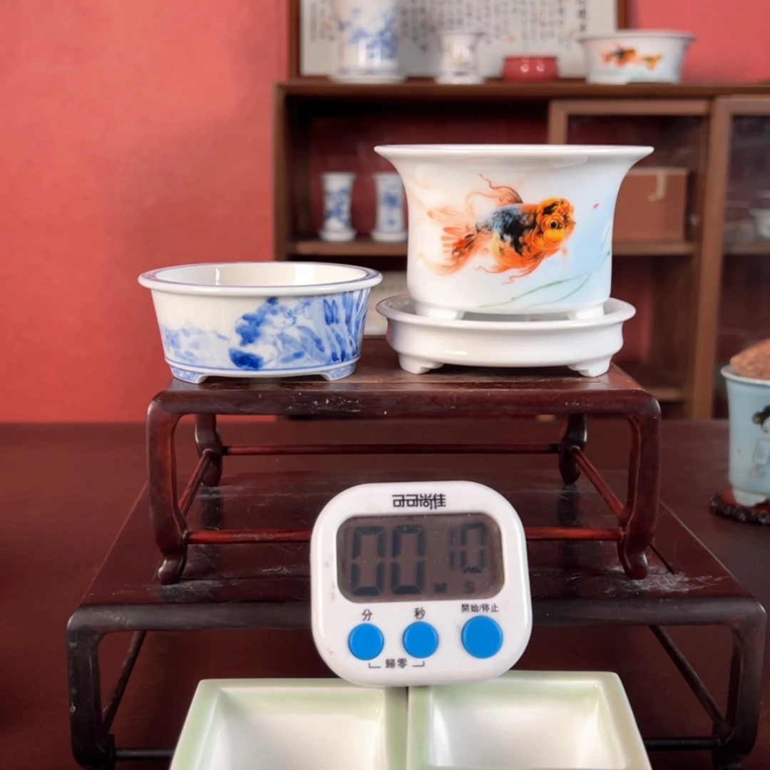 【闪购商品】陶瓷下播福利点*～