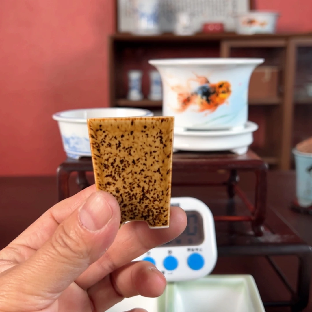 【闪购商品】陶瓷下播福利点*～