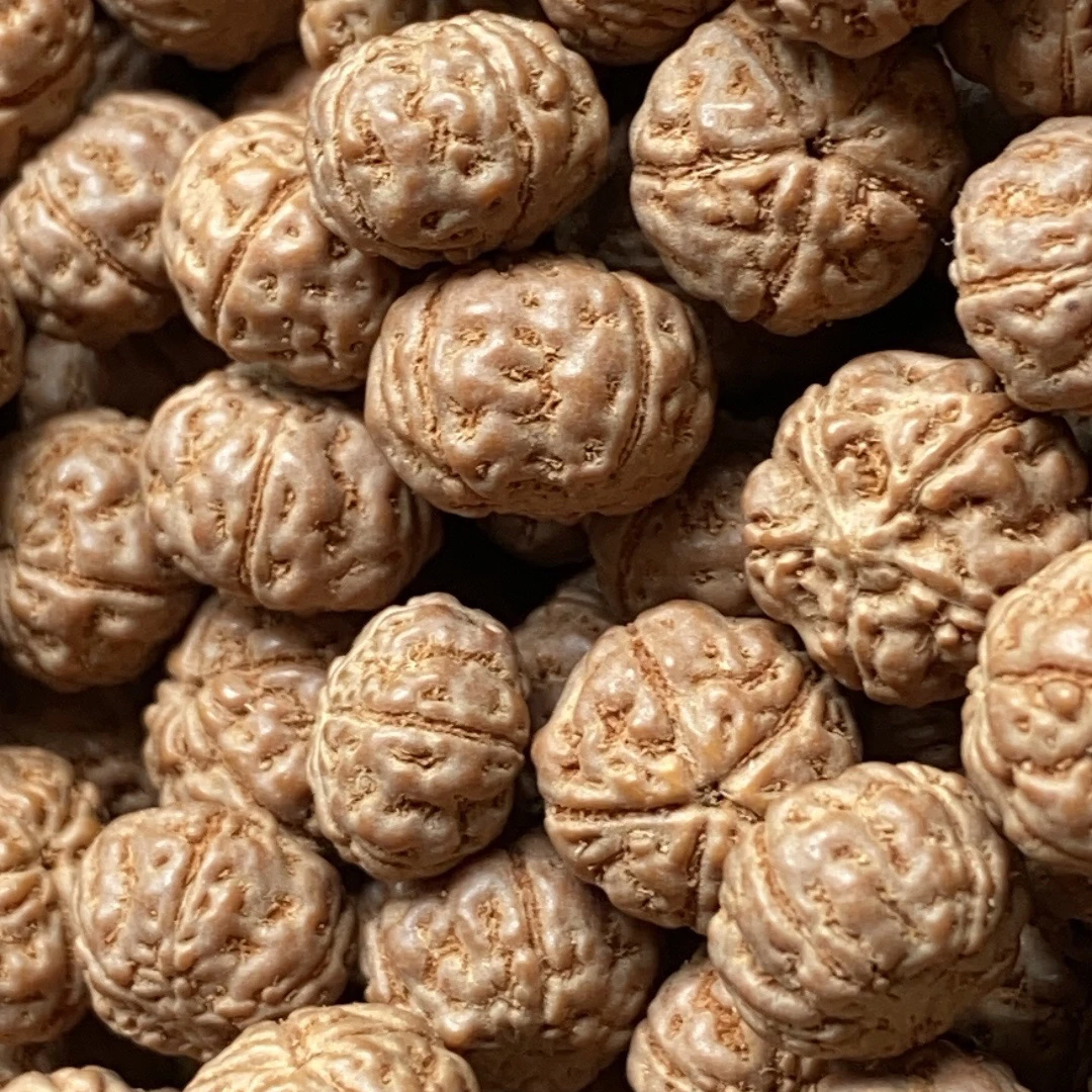 龙鳞专拍手持小金刚菩提手持