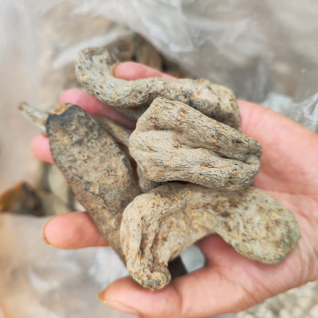 云南土【天麻】净含量250g/500克