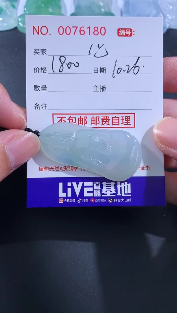 【闪购商品】翡翠颈饰未镶嵌 定向 壹