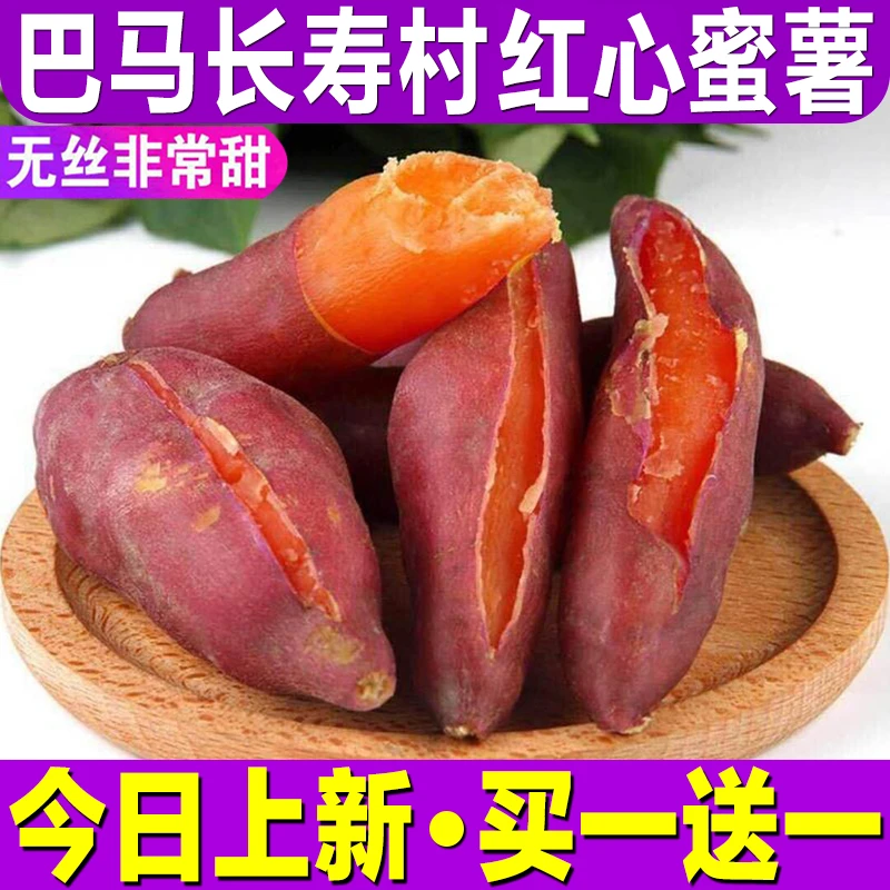 【新鲜现挖】沙地蜜薯山芋地瓜5-9斤超甜蜜薯批发