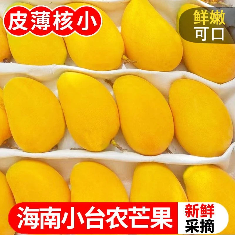 海南小台农芒果9/5斤新鲜现摘小台芒当季热带水果特产整箱1斤包邮