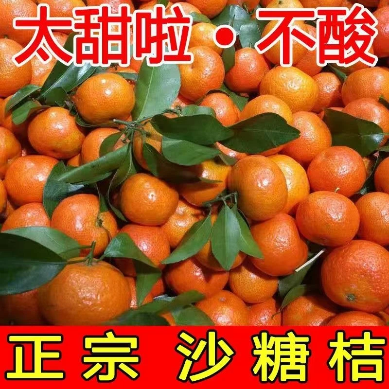 广西正宗沙糖桔桔子砂糖橘子整箱当季新鲜水果1斤3斤5斤9斤多汁甜