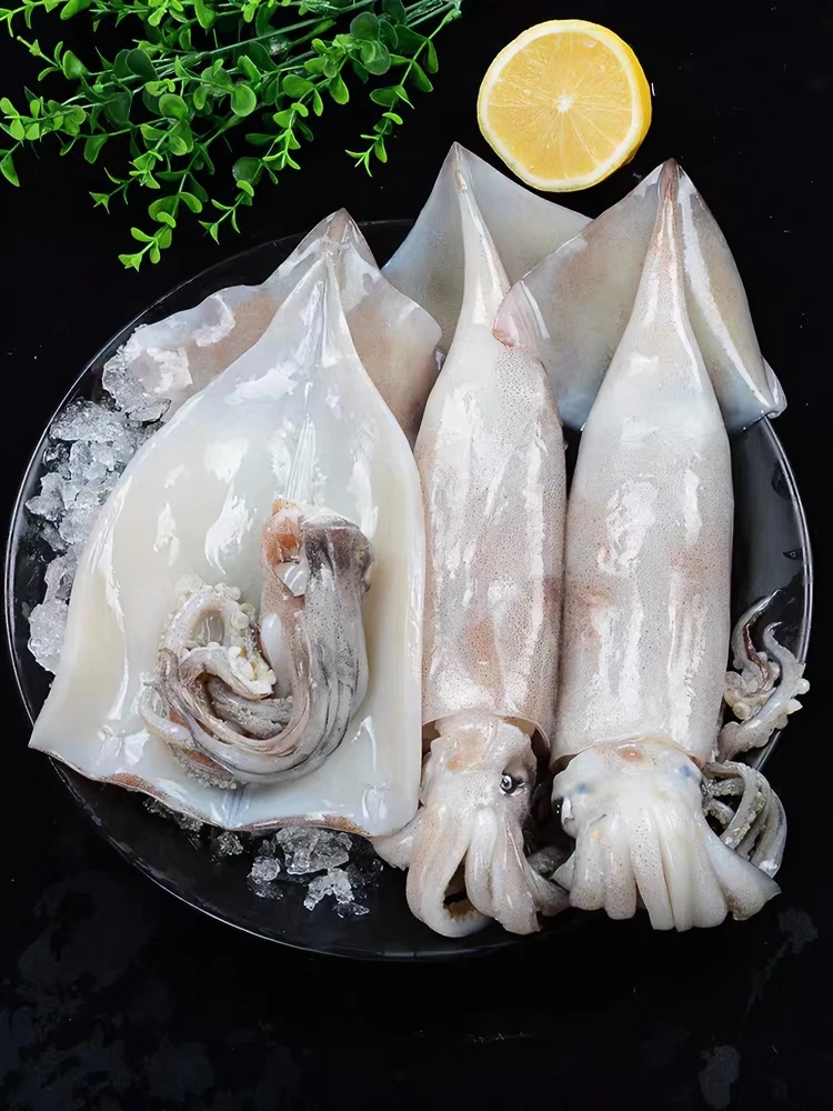东海冰鲜鱿鱼肉质厚实食用嚼劲新鲜海鲜冷冻发货鲜嫩紧实鲜甜生鲜