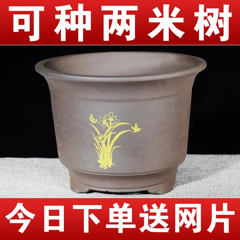 紫砂花盆大号种树花盆大口径盆景花盆阳台种菜盆陶瓷花盆