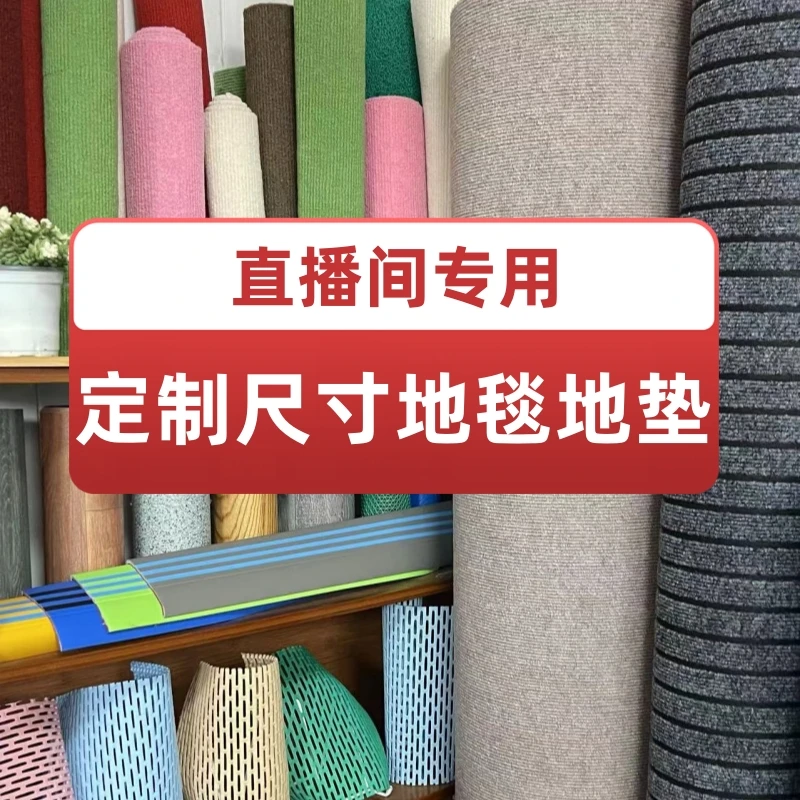 直播间地毯地垫防水脚垫家用卧室防滑吸水地毯地垫定制裁剪定制
