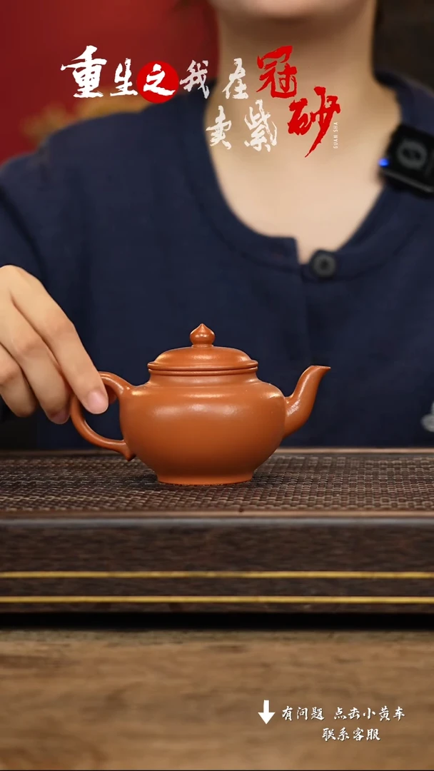 【闪购商品】紫砂茶壶冠砂茶器25
