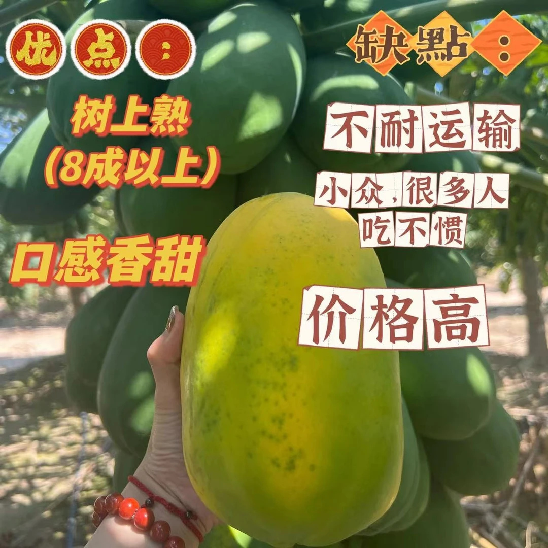 【常温区】海南红心木瓜 自然熟 口感清甜 5斤礼盒装 京东/顺丰包邮