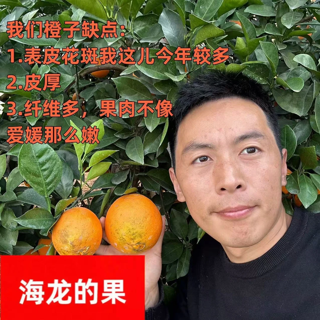 【京东快递】江西赣南脐橙4.7斤-8.3斤