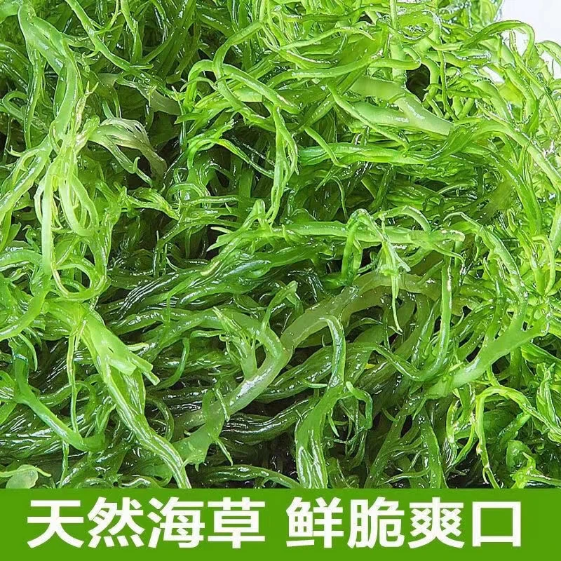【天然海藻海草】福建龙须菜凉拌菜火锅菜配菜海产品美食爽脆盐渍
