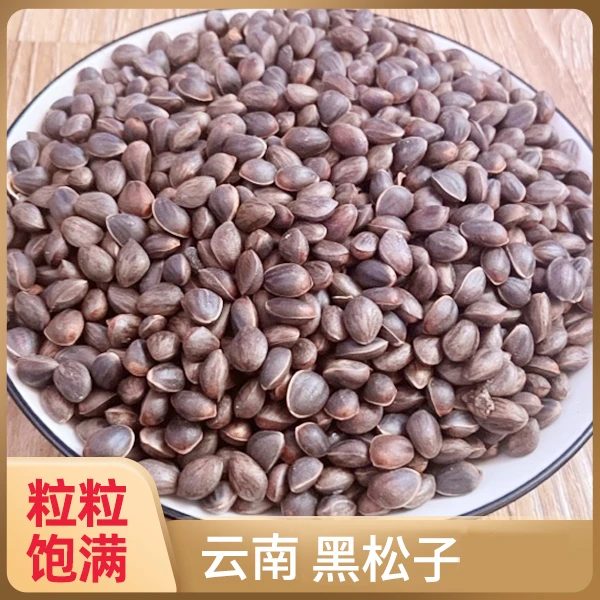 2025云南产品新鲜松子坚果原味黑松子饱满大颗未开口大籽仁年货