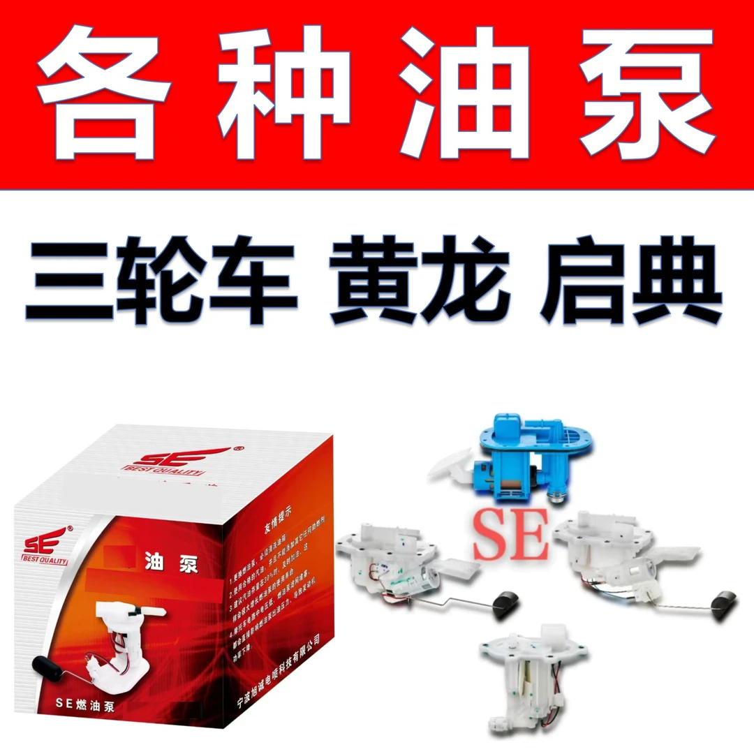 三轮车 黄龙 启典 贝纳利 龙嘉 棍王 升仕 隆鑫 等摩托油泵