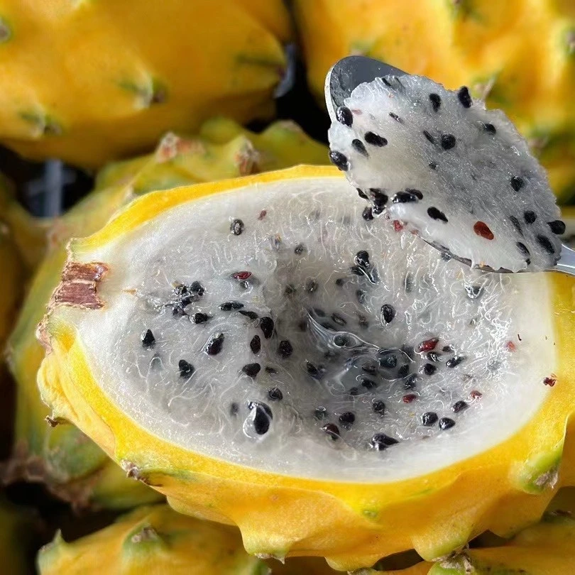 【甜嫩细腻】海南三亚燕窝果新鲜采摘麒麟果礼盒顺丰