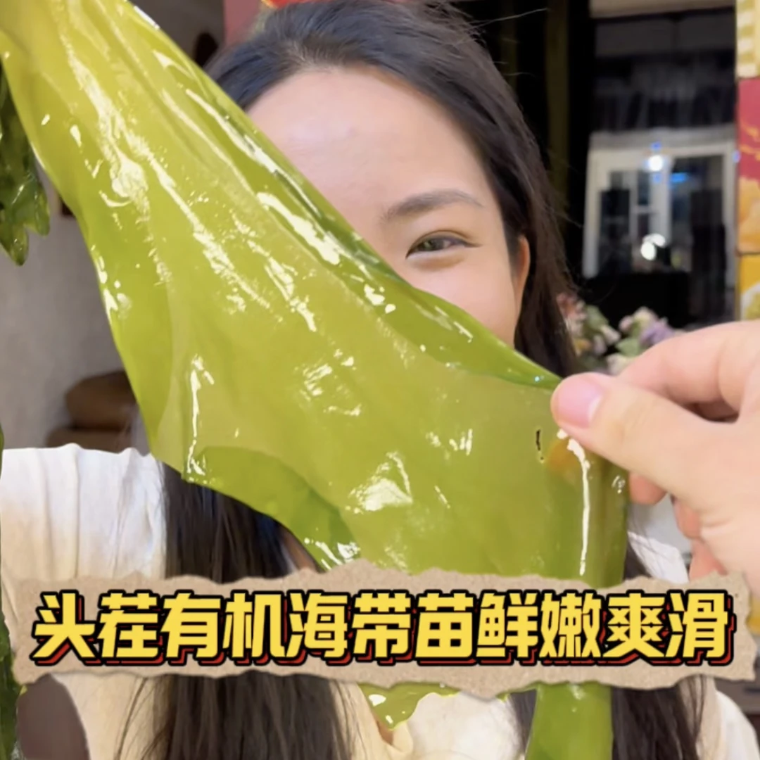 【鲜嫩爽滑】福建有机海带嫩苗盐渍优质水域火锅素菜凉拌300g中通