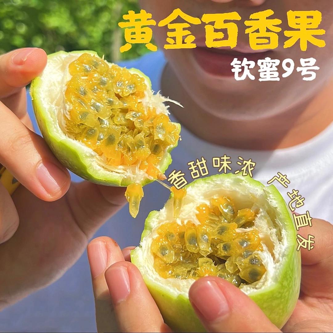 【蜜甜浓香】海南钦蜜9号黄金百香果味浓多汁新鲜采摘顺丰