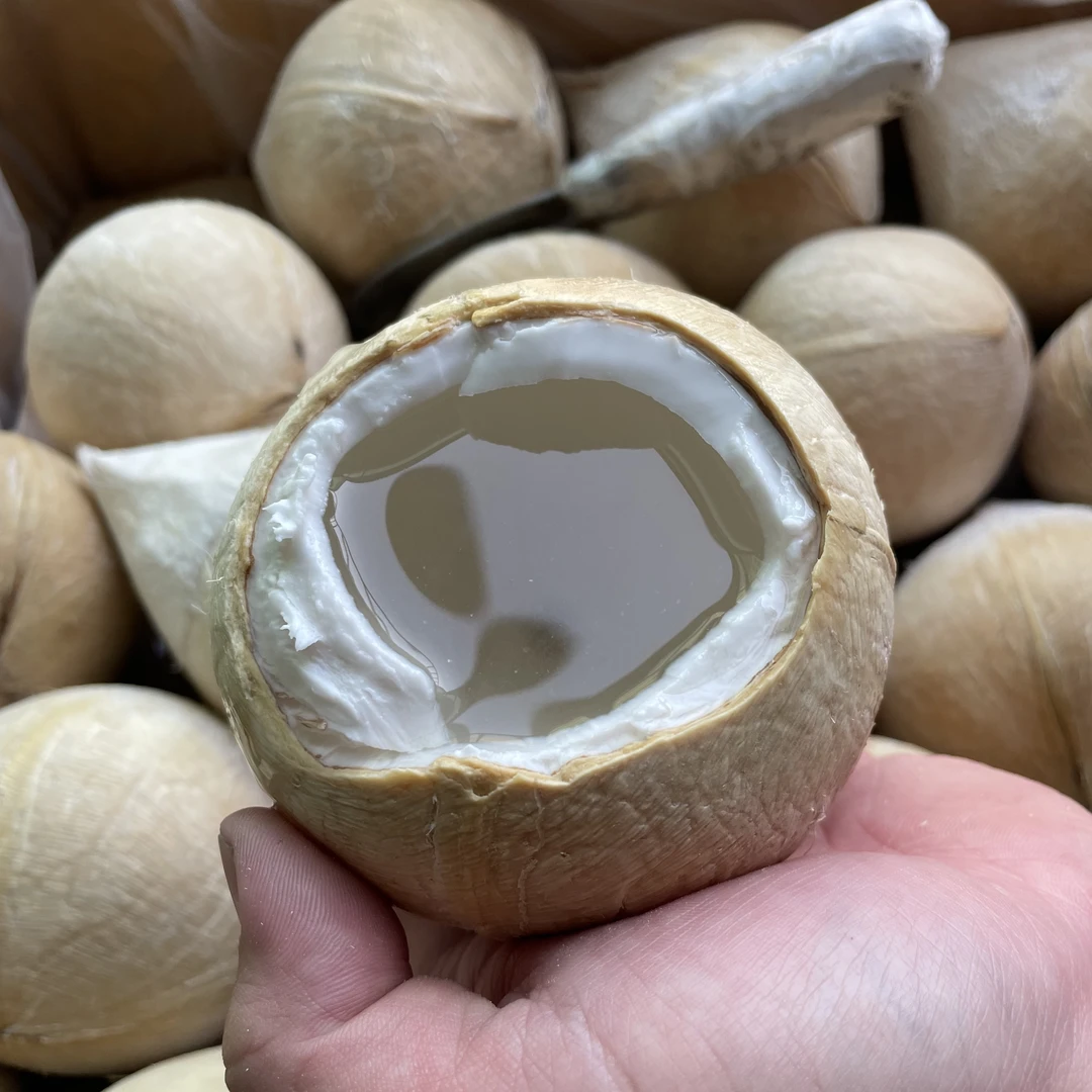 【椰香奶甜】泰国老树椰皇椰汁浓郁椰肉q弹低卡天然新鲜5颗顺丰