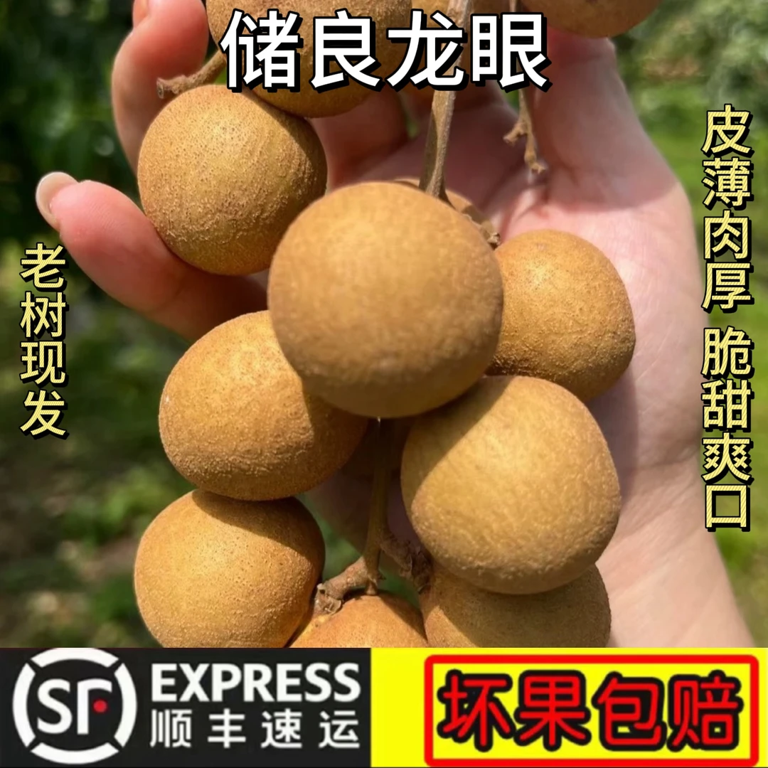 【卖3送2】广东正宗百年老树现摘现发储良大果整箱5斤顺丰包邮