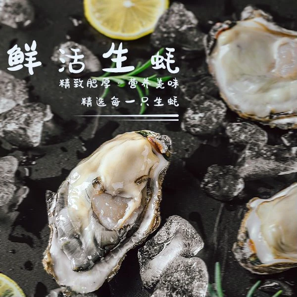 乳山鲜活生蚝5斤