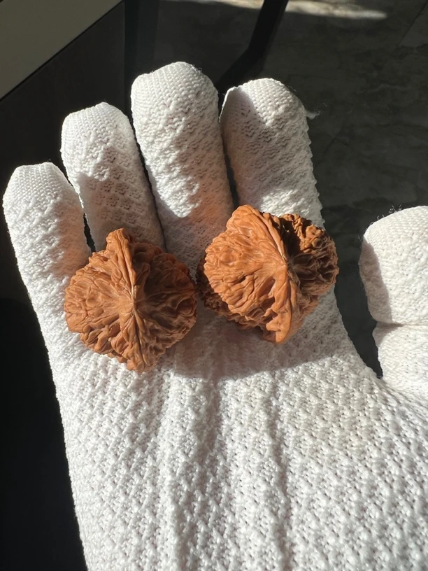 文玩核桃精品专门拍