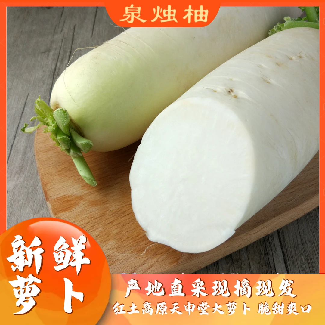 云南高原天申堂大萝卜（巨大）超甜水果萝卜（包邮）甜水分足