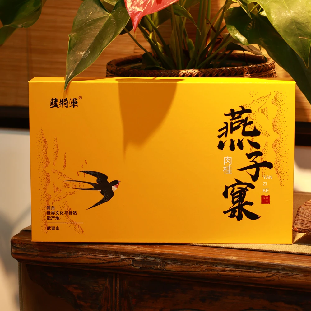 福建大红袍传统工艺武夷山岩茶燕子窠肉桂自然味道试喝装