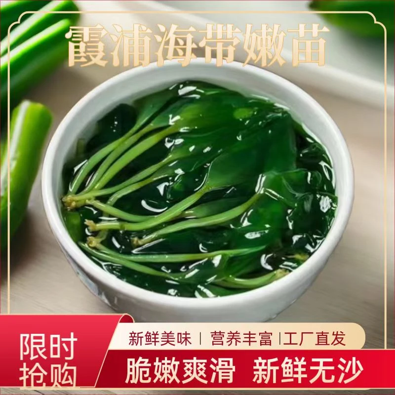 【活动】新鲜海带苗盐渍霞浦裙带菜工厂直发火锅凉拌菜好吃下饭营养