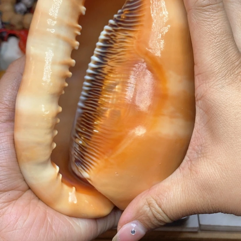 【闪购商品】单圈树脂制品