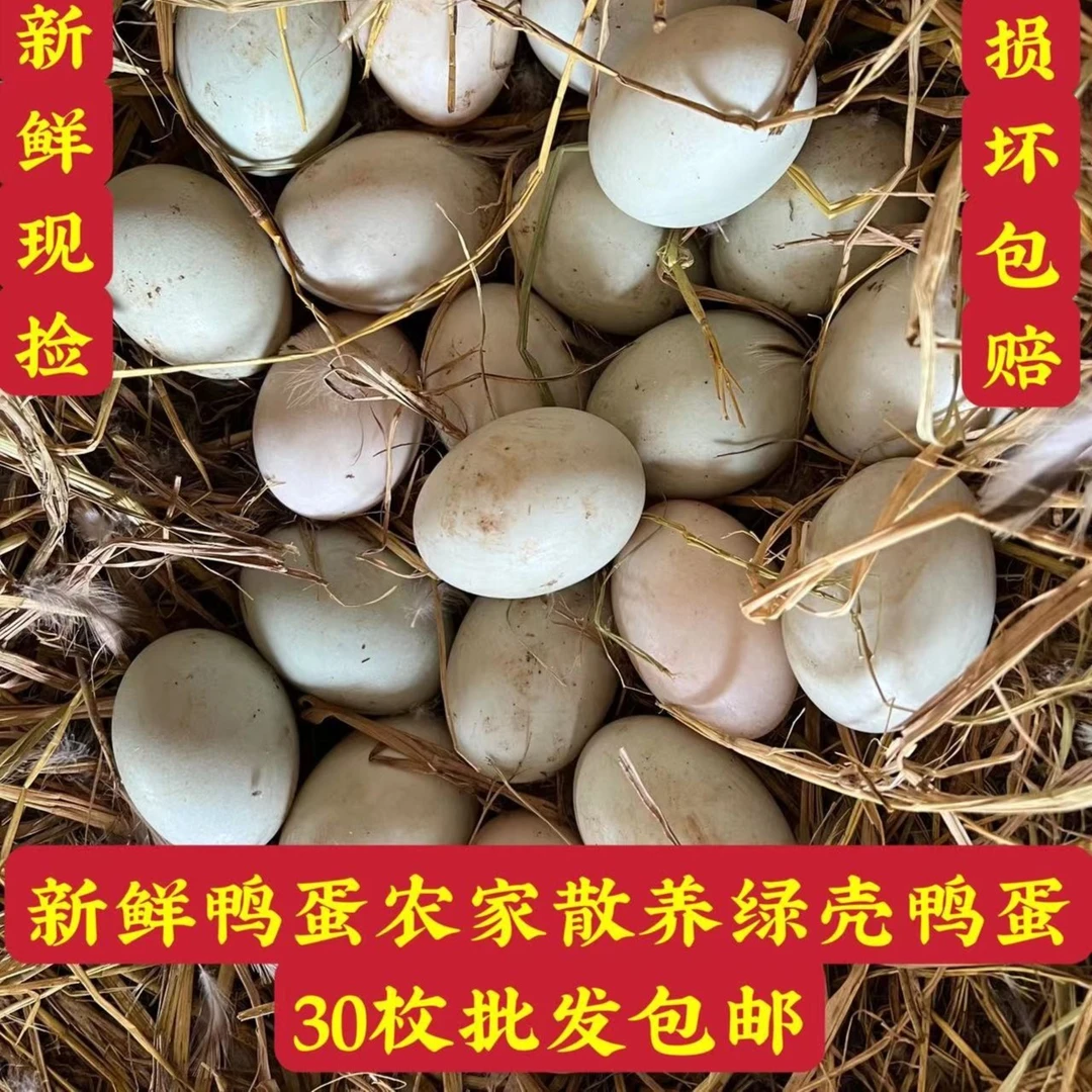 【麻鸭子】英德正宗农村土鸭蛋新鲜鸭蛋农家散养绿壳鸭蛋30枚包邮